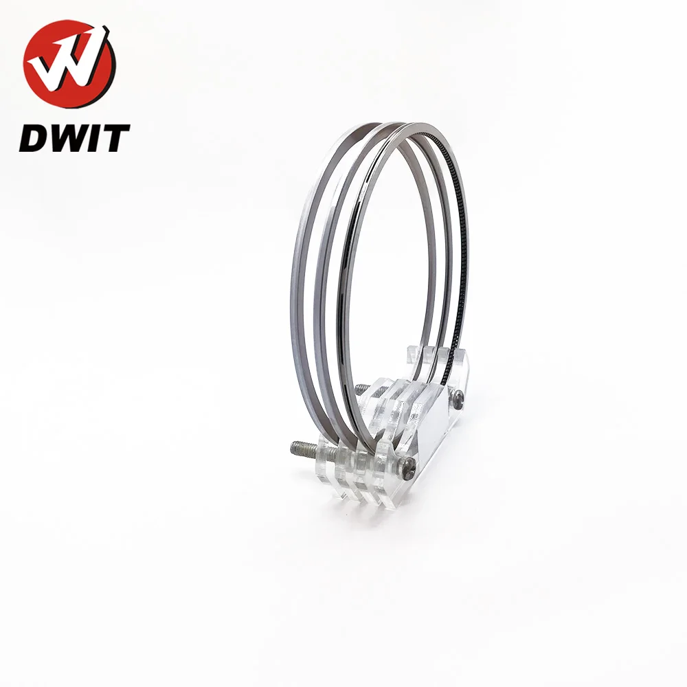 dwit 2W1709 05.jpg