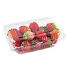 Disposable Ec Friendly Fruit Packaging Container Plastic Fruit Punnet Disposable Strawberry Packaging