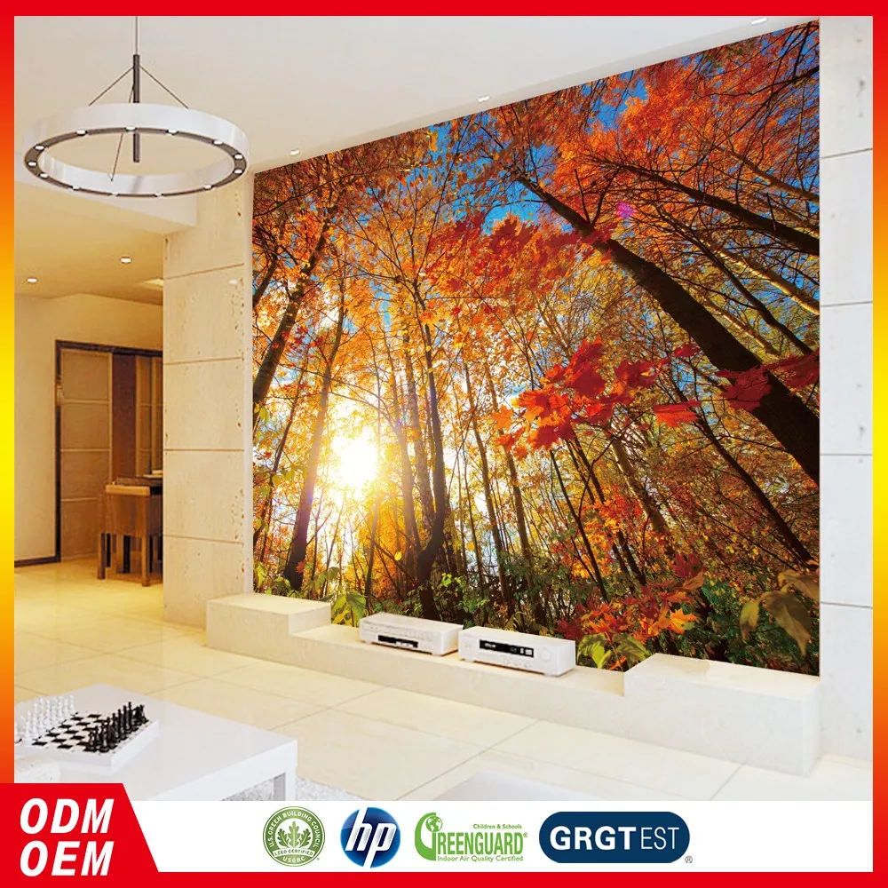 森の風景壁画自然の森の壁紙カスタム印刷された日光の木の壁紙 Buy 自然印刷壁紙 森林シーン壁画 カスタム印刷された日光ツリー壁紙 Product On Alibaba Com