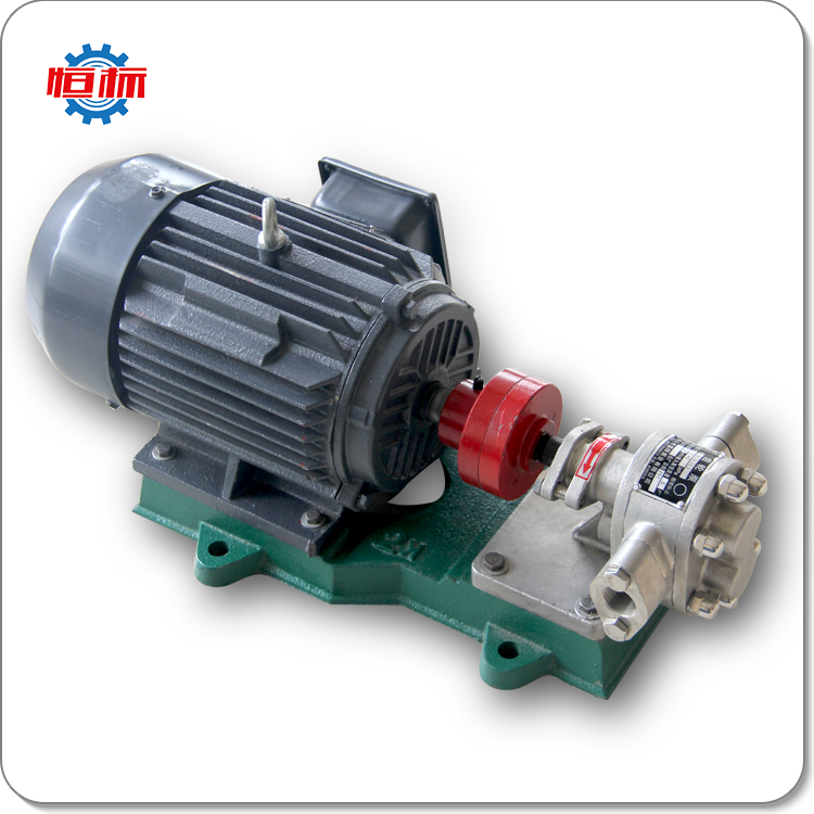 Food Oil Gear Pump Hengbiao Shenghui Stainless Steel Oil 5cst Korea For