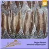 Hot Sale With Dark Meat Fillet Fish