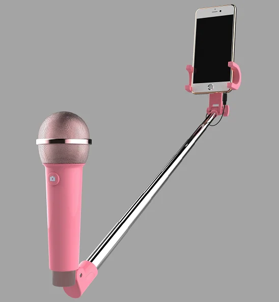 Mini Mic.png