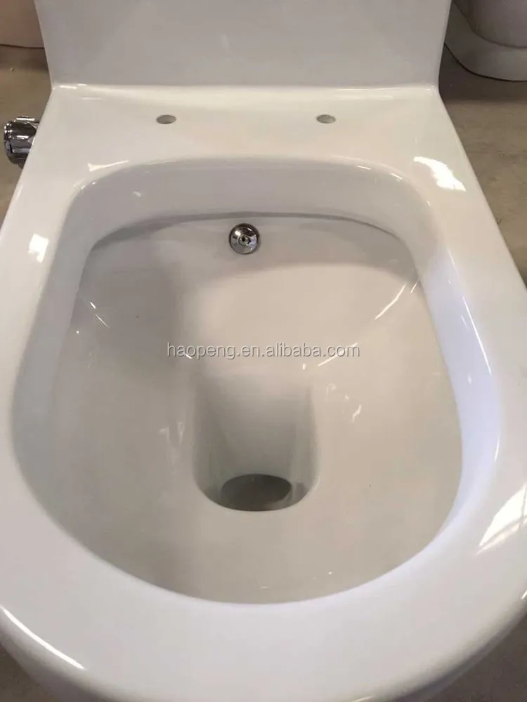 Muslim Strap 250mm 4 Inch Washdown One Piece Toilet With Builtin Bidet Buy Toilet With Bidet