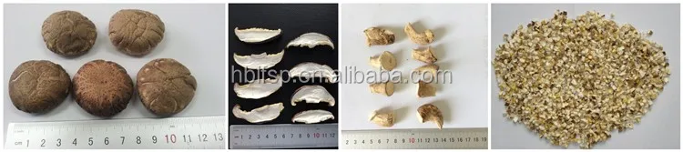 Related Mushroom Products.jpg