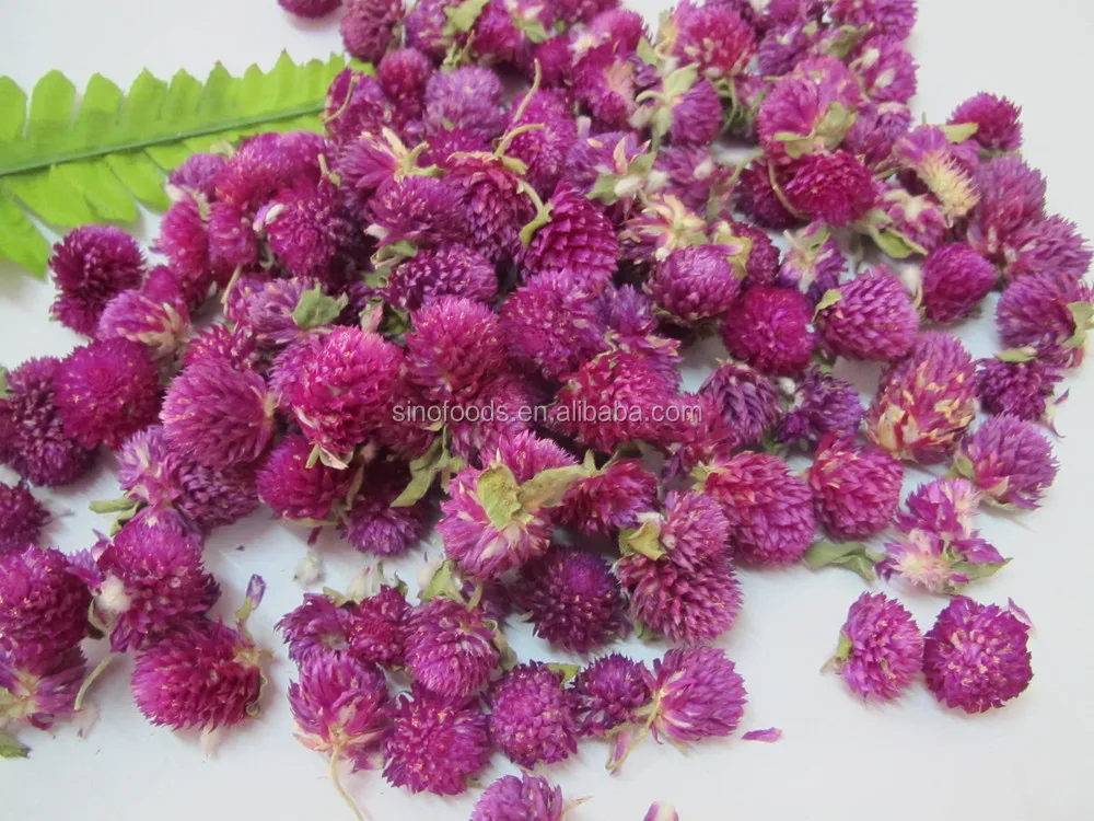 Fiori Secchi Salute Te Fiore Amaranto Buy Amaranto Fiore Fiore Te Fiori Secchi Gemma Product On Alibaba Com