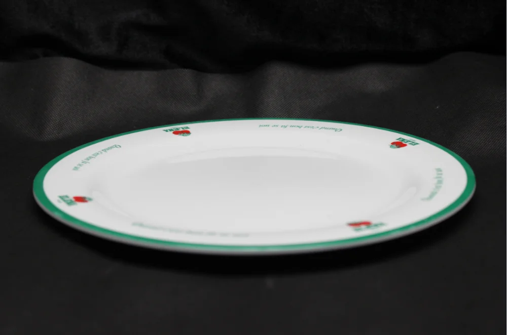 10inch melamine plate