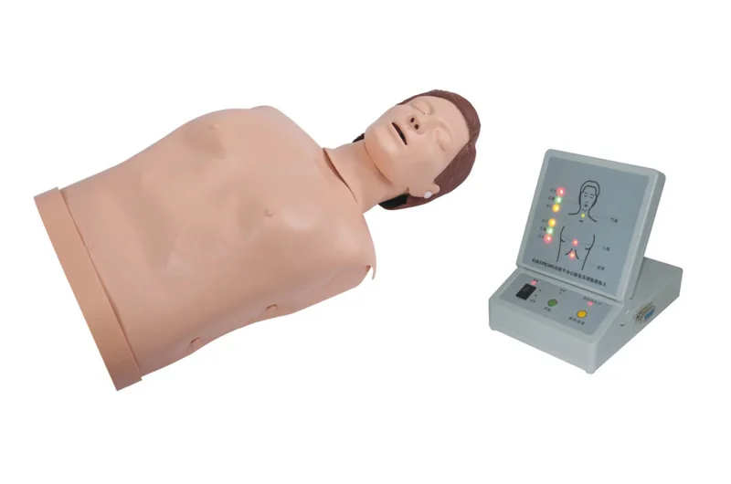 Training Kit Half Body CPR Training Manikin For Simulation Center
