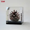 Custom Square Cube Clear Lucite Resin Embedded PineCone Paperweight with Black Base for Sales Shenzhen Factory