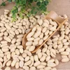 China Shandong Blanched peanut kernels , white peanut kernel