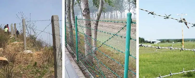 barbed wire 3