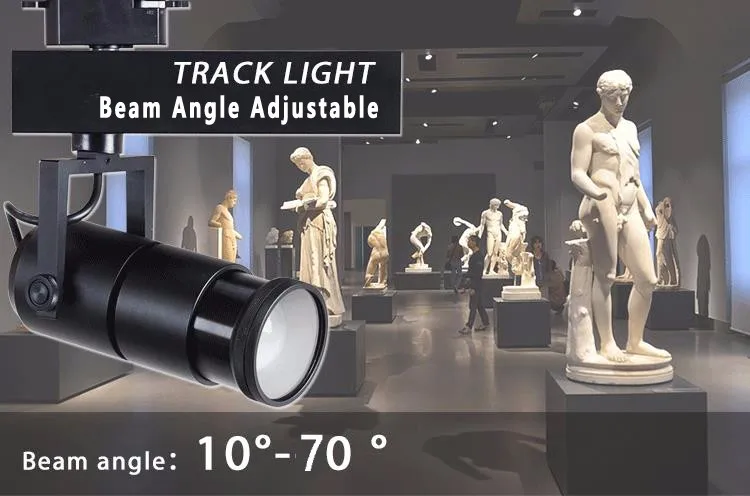 Beam Angle Adjustable rail track light Cob Lamp for Museum Exhibition