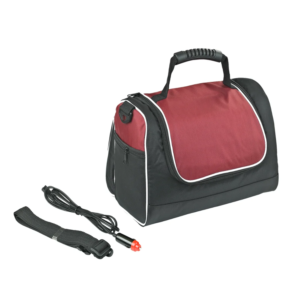 Portable Insulated Cooler Bag, Non Woven Cooler Bag for Vehicle, View