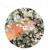 wholesale glitter Butterfly shaped and environment-friendly PET nail cosmetic sequins