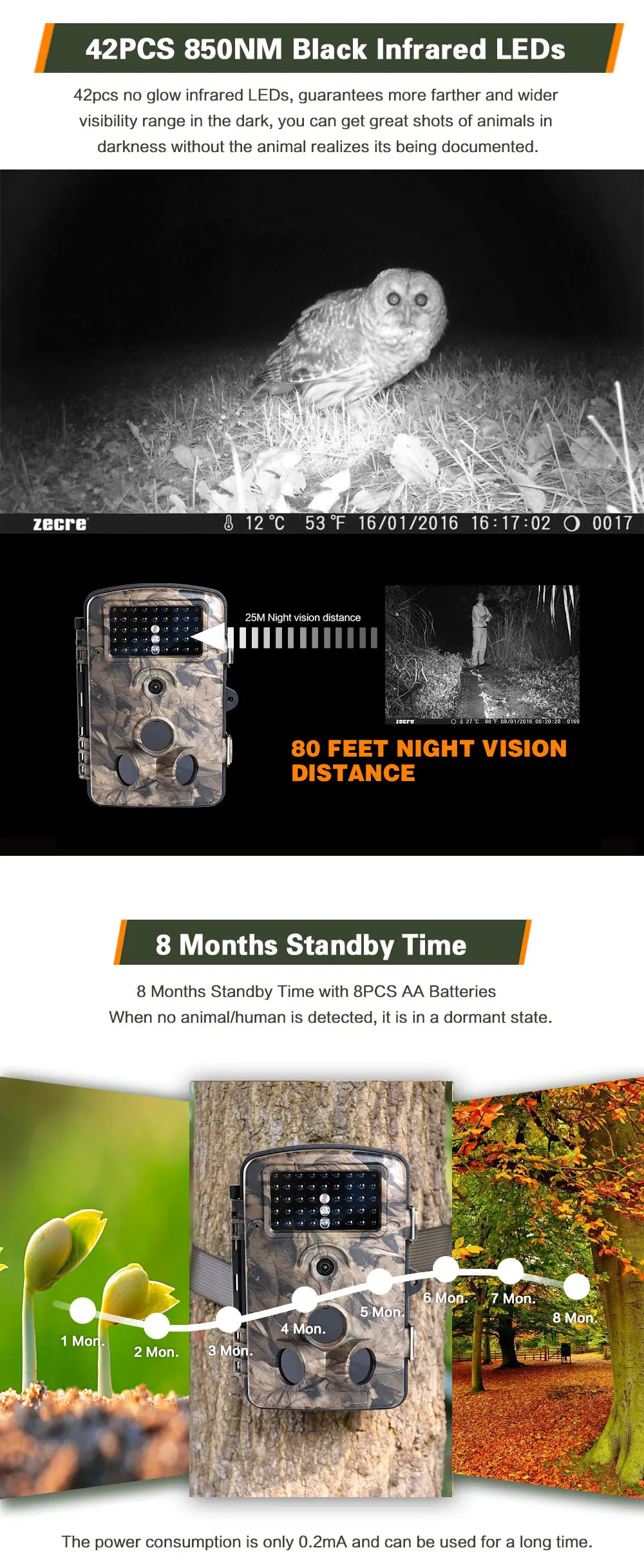 730 hunting game cam_09.jpg