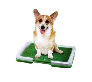 puppy potty grass mat