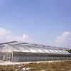 Long Service Life Double Layer Or Multilayer PC Hollow Sheet Multi Span Venlo Type PC Board Greenhouse