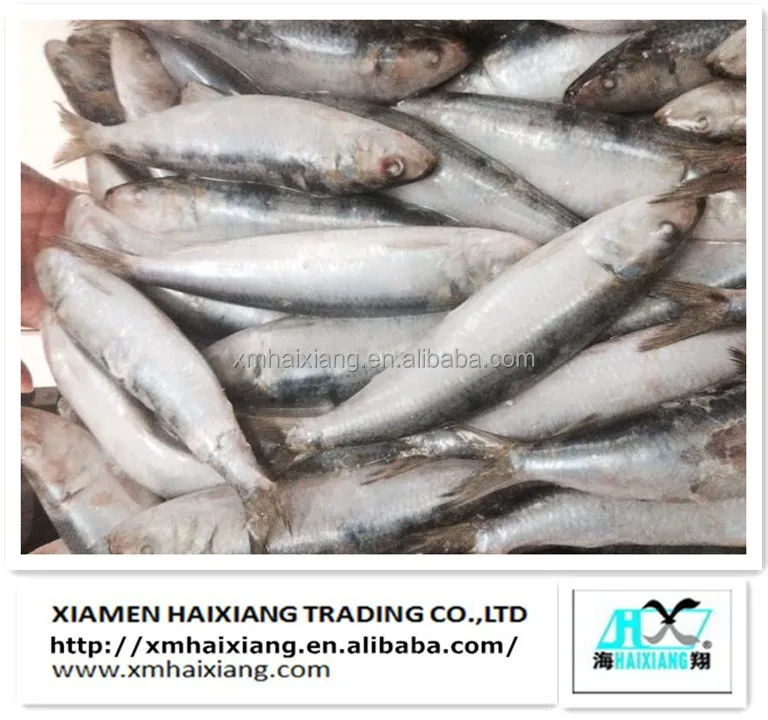 中国冷凍火傷全体テラピア魚養殖価格 Buy 卸売テラピア魚 Product On Alibaba Com