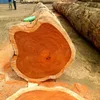 Logs of 6 ft length and durable ebony wood block