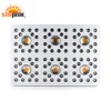 Pioneer 6 Led 1000W grow light hydroponic grow led light full spectrum