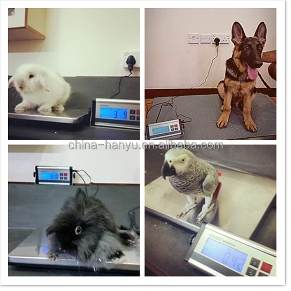 Digitale Tierwaage 300 Kg – LCD-Monitor, Zwei Mod Produktbild-Vorschau 3