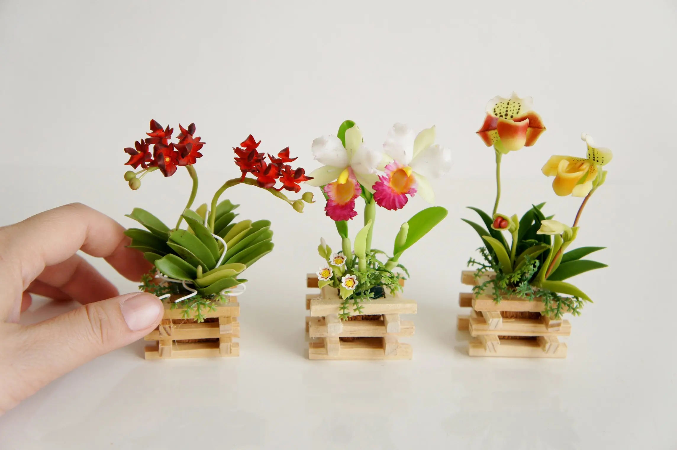 cheap orchid pots