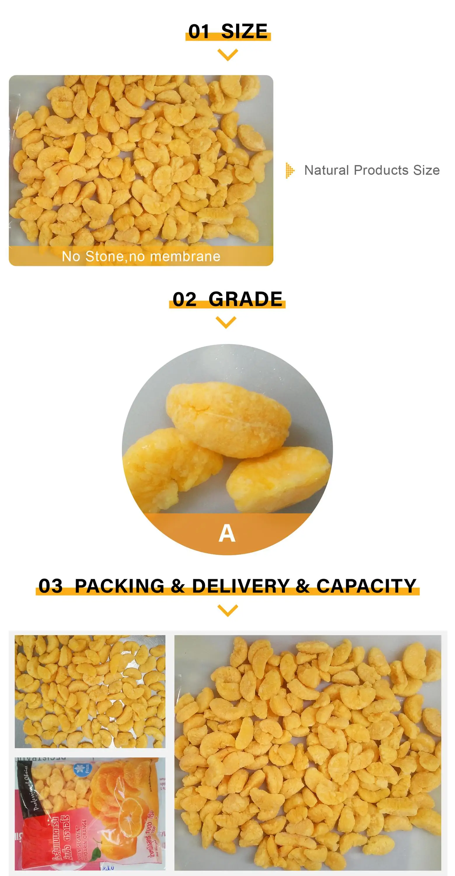 150_-1_01.jpg