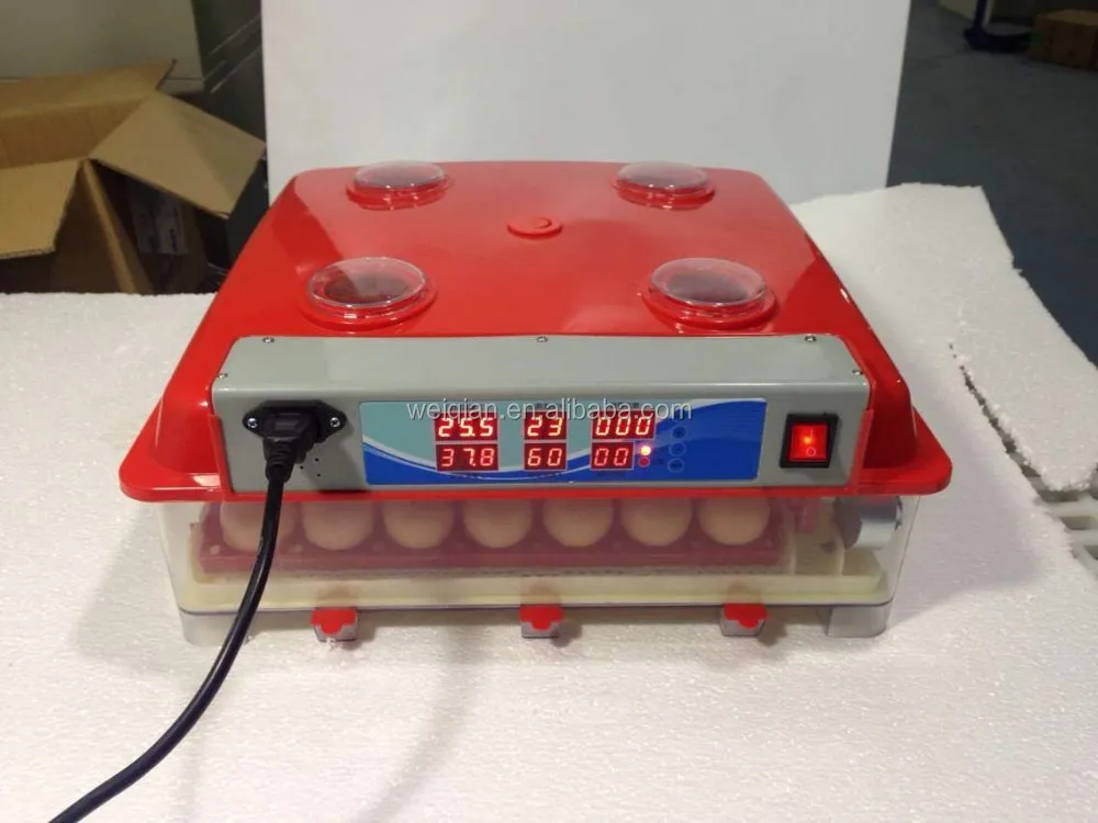 Janoel 48 Eggs Automatic Egg Incubator 110v Or 220v Jn8-48 ...