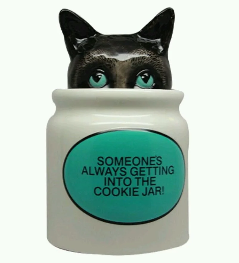 Black Cat Cookie Jar Old Fashion Ceramic Candy Jar Kitty,Kitten Buy