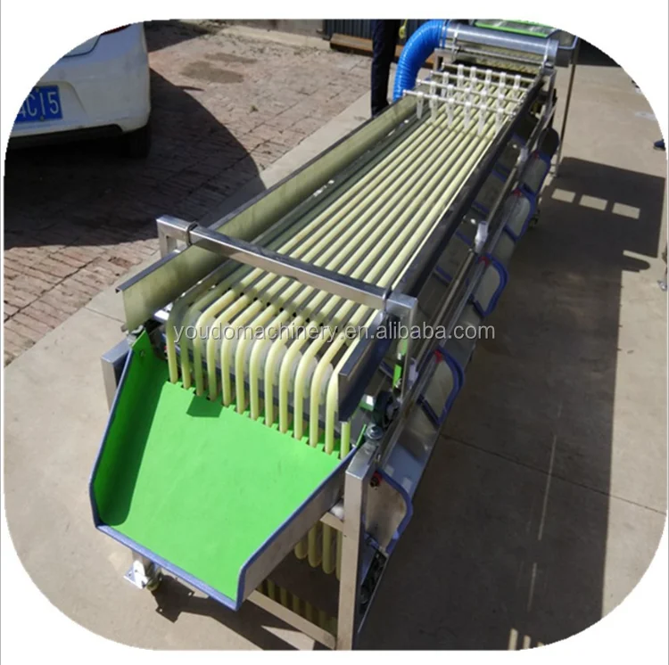 sorting machine (4).png