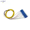 12 cores single mode bunchy fiber optic pigtail