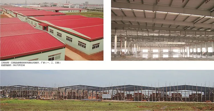 High quality poultry farm and steel structure poultry house