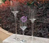 ZT01150 hot sell factory cheap wedding decoration votive modern tall clear wine glass candle holder