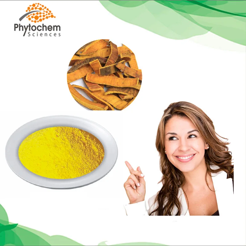 Natural Cork Tree Bark Phellodendron Chinense Schneid Extract Buy