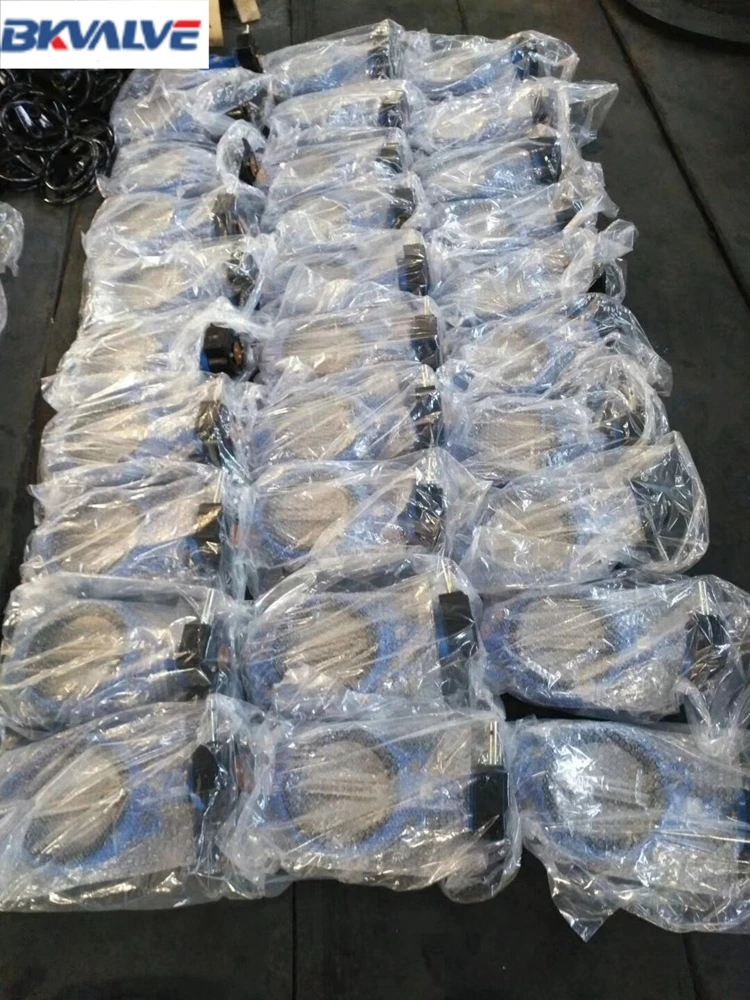 Pipe Fittings Supplier Water Treatment Solutions System 3 inch Butterfly valve with best price