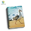 Zebulun Promotional Gift Children Using 3D A4 Paper Spiral Notebook With Color Pages