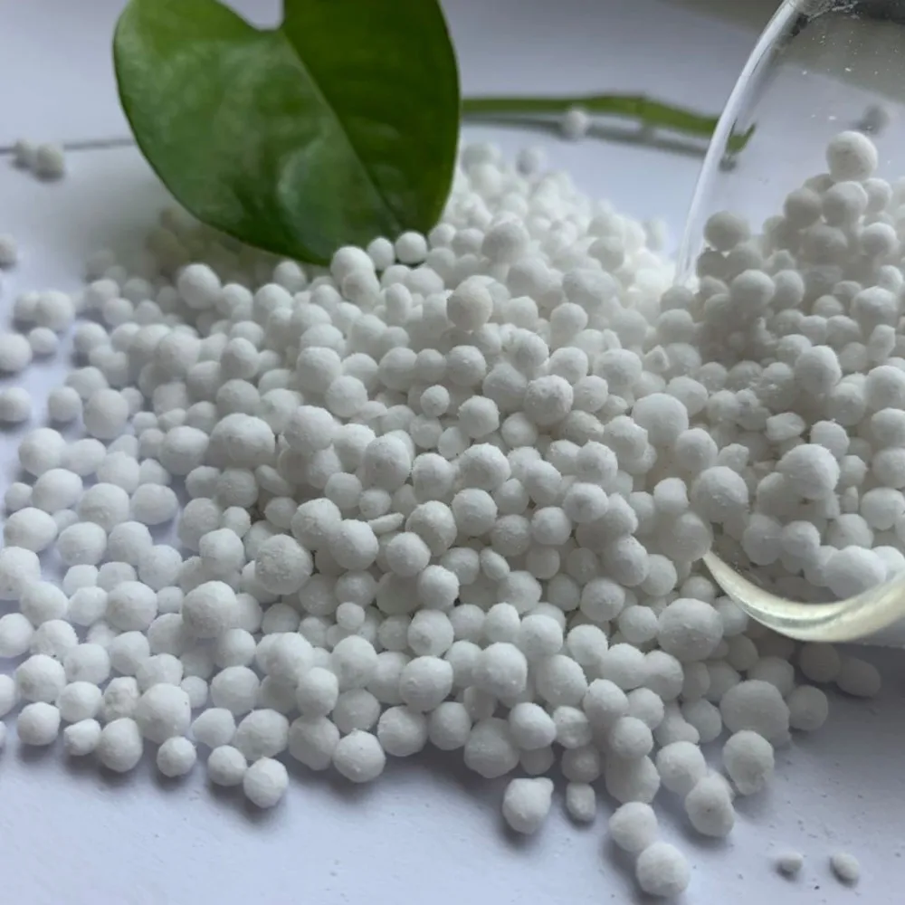 a04bcbdf6363d0a7d42222b1b78f610