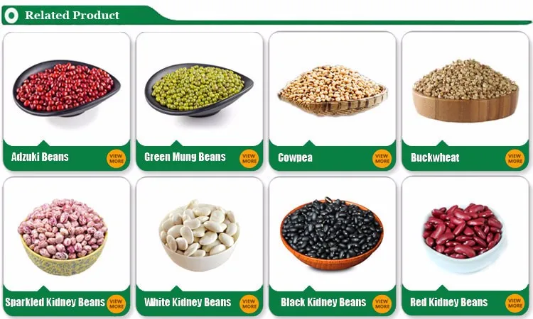 Виды бобы на английском. Горох фасоль бобы. Японская фасоль адзуки. Bean type. Bean type.