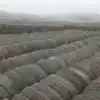 Scrap Tires Waste Tires Tire Casing Able to Supply 300 Metric Tons per Month