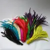 Wholesale Preferred Dyed Rooster Tail Feather for Samba Costume Carnival