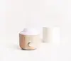 Ceramic cover wood Nebulizer essential oil diffuser