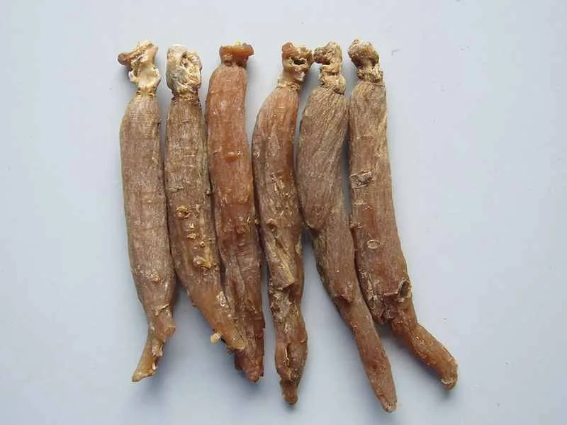 organic korean red ginseng root 2
