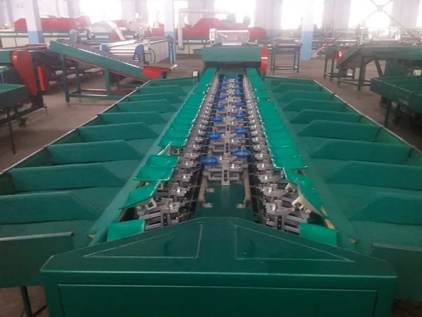 Potato washing/drying/sorting/grading machine