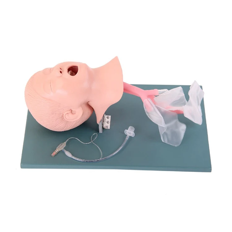 teaching aids educational for children kids tracheal intubation