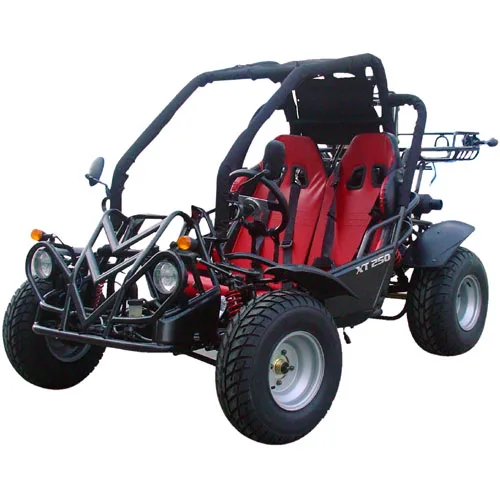 
TK250GK-6 250cc Go Kart BUGGY 250cc mini car 