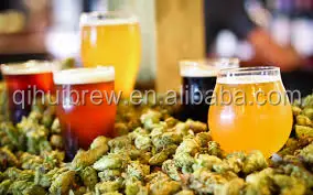 2500L beer factory equipment from beer brewing supplies