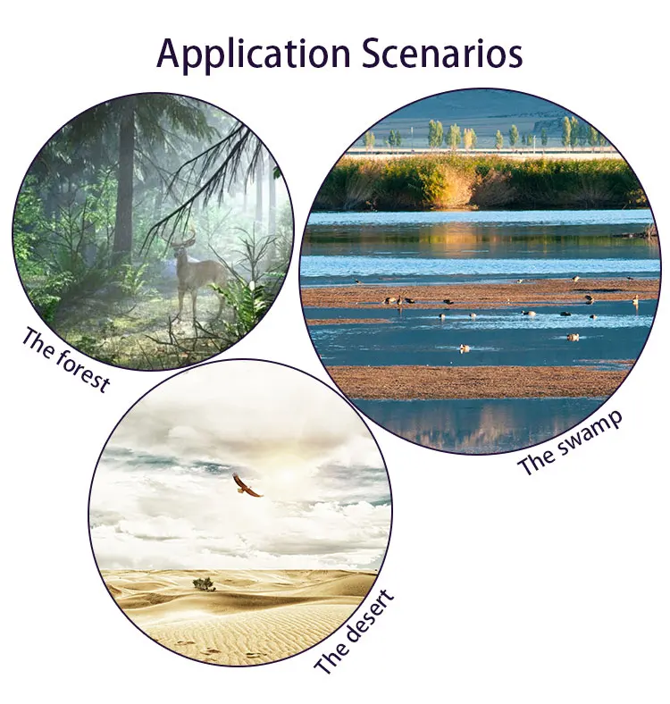 CSW-79820160619 (6).jpg