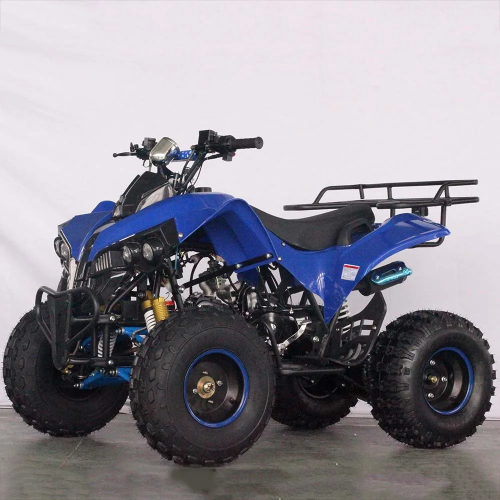 Chinese Adult Atv Quad Bike From Zhejiang Smart Factory - Buy Chinese