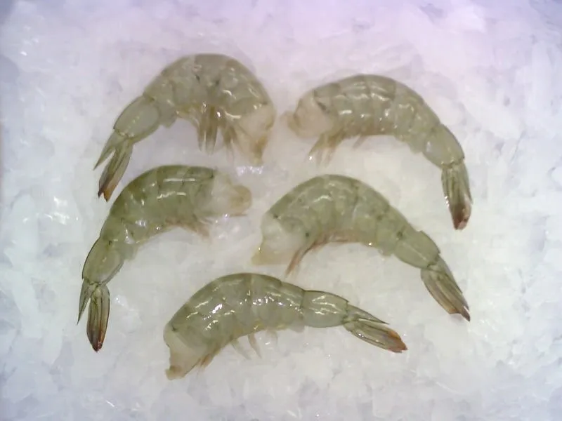 vannamei white shrimp,easy peeled