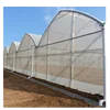Multispan dome greenhouse large commercial used sale
