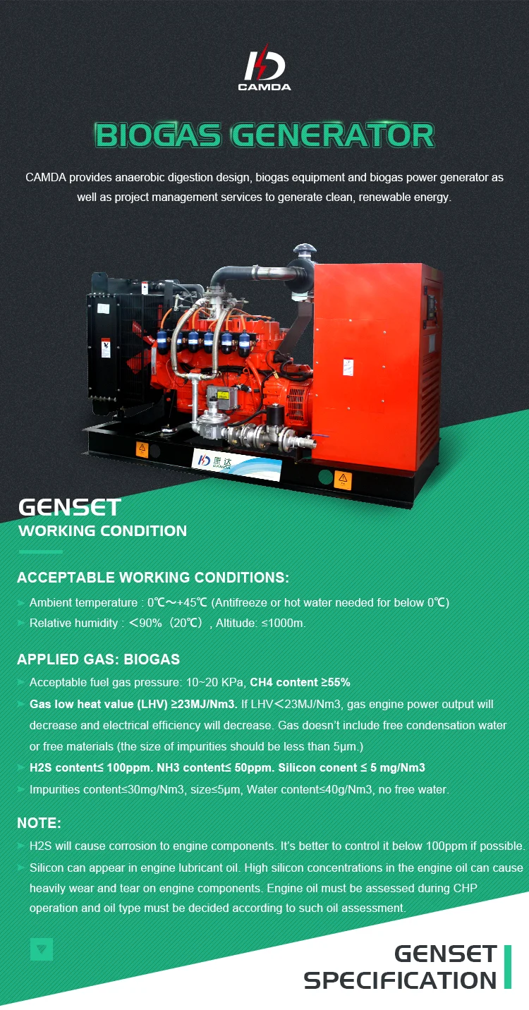 250kw Biomass Generator Biomass Generation 250kw Biomass Cogenerator